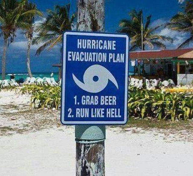 Acid Picdump (124 pics)