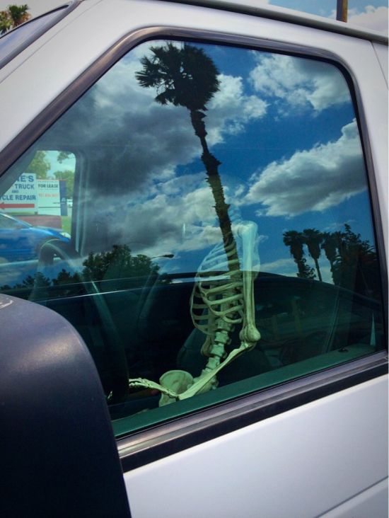 Acid Picdump (124 pics)