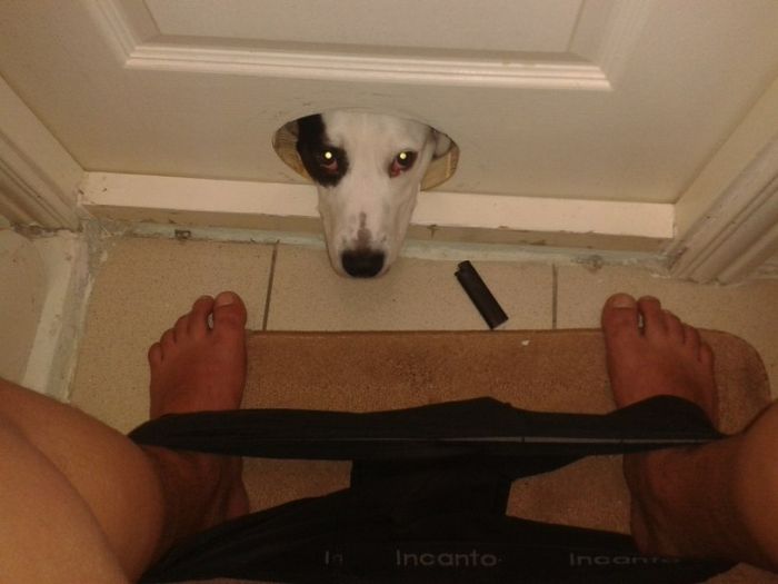 Acid Picdump (124 pics)