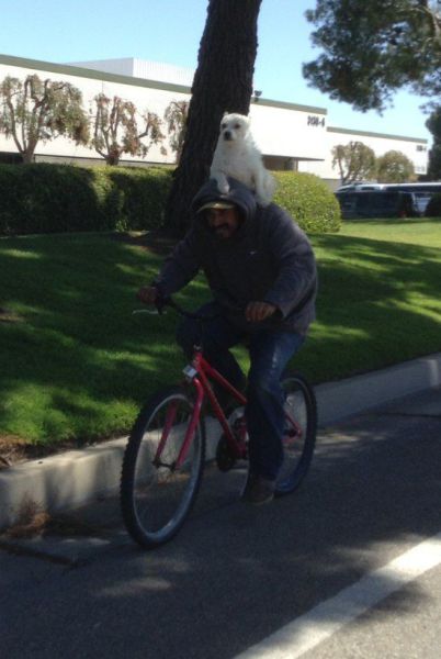 Acid Picdump (124 pics)