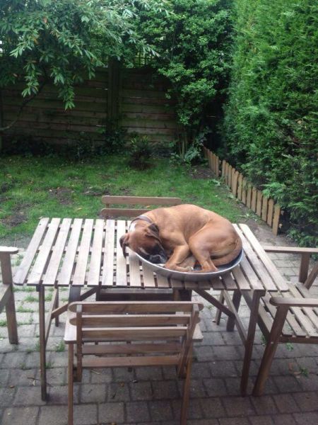 Acid Picdump (124 pics)