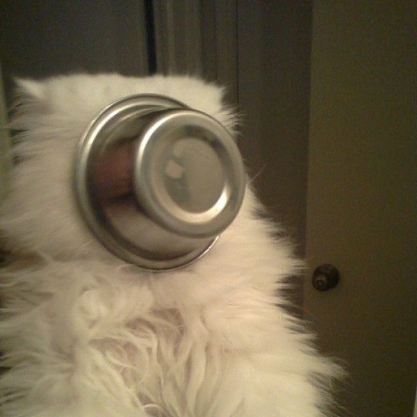 Acid Picdump (124 pics)