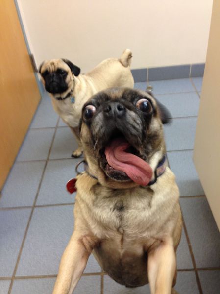 Acid Picdump (124 pics)