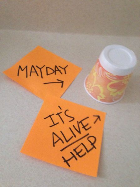 Acid Picdump (124 pics)