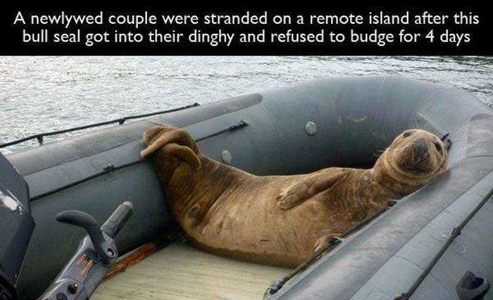 Acid Picdump (108 pics)