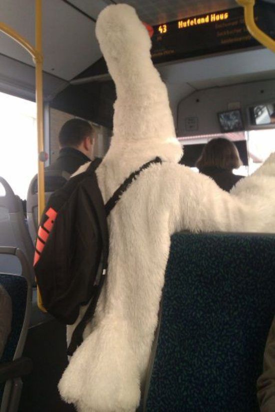Acid Picdump (108 pics)