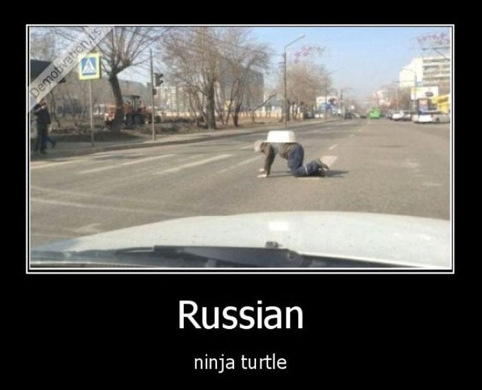 Acid Picdump (108 pics)