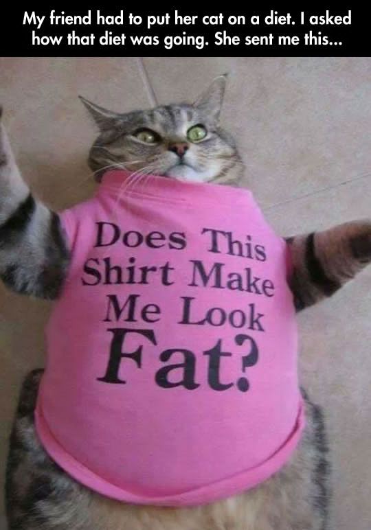 Acid Picdump (108 pics)