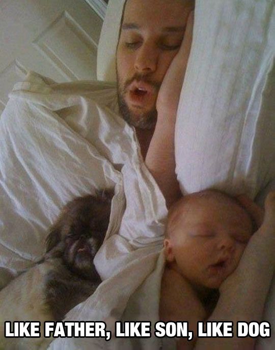 Acid Picdump (108 pics)