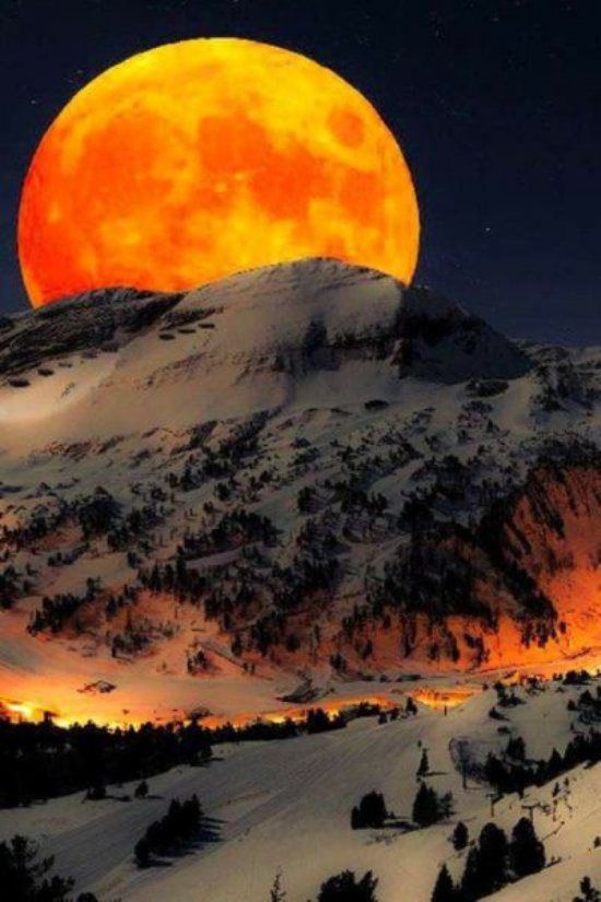 Acid Picdump (108 pics)