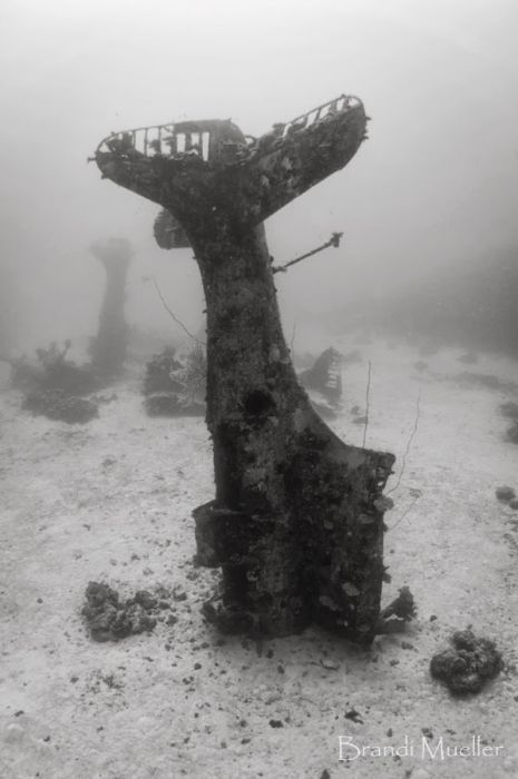 You Won't Believe What These People Found Underwater (79 pics)