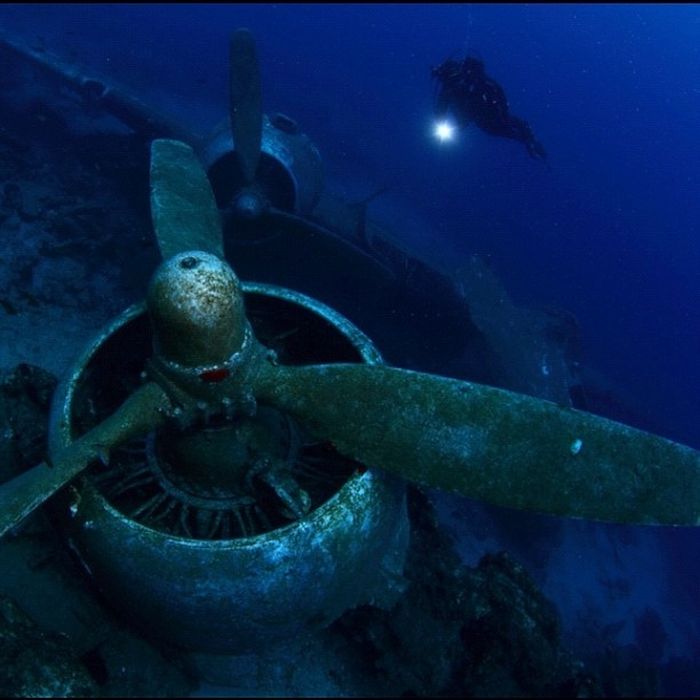 You Won't Believe What These People Found Underwater (79 pics)