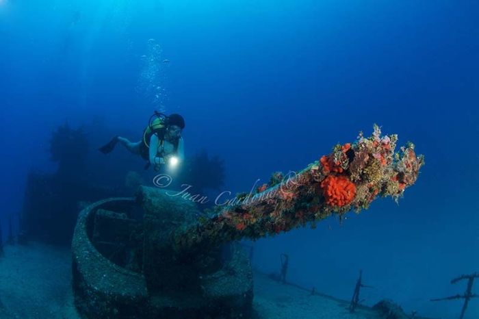 You Won't Believe What These People Found Underwater (79 pics)