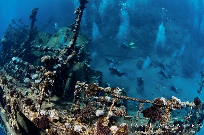 You Won't Believe What These People Found Underwater (79 pics)