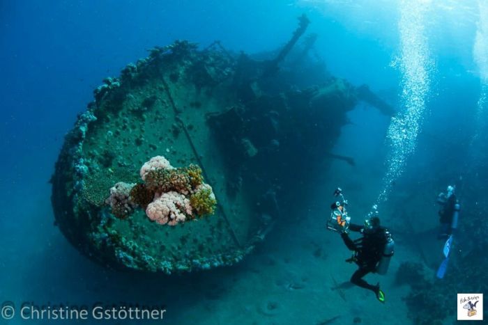 You Won't Believe What These People Found Underwater (79 pics)