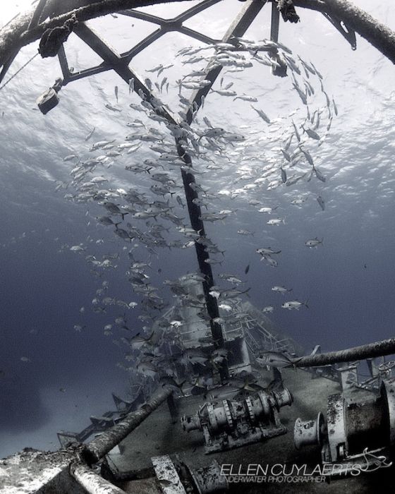 You Won't Believe What These People Found Underwater (79 pics)