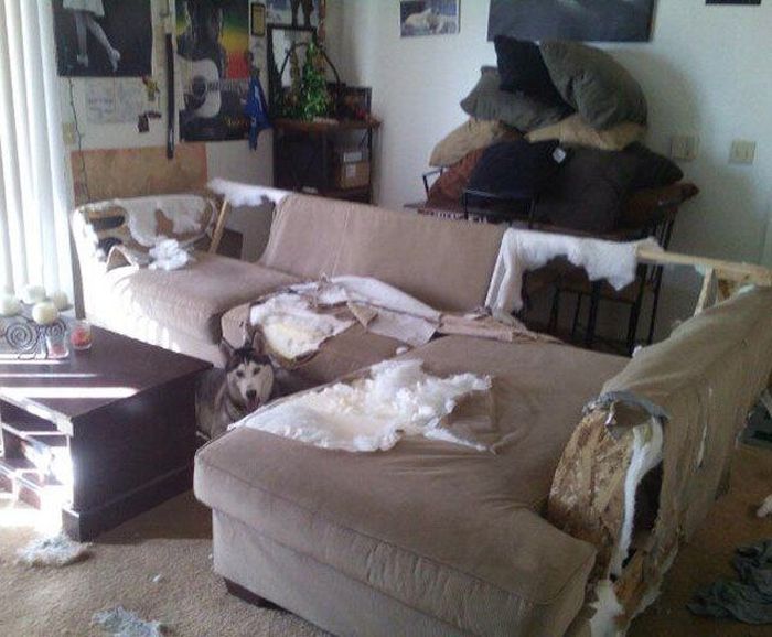 Acid Picdump (144 pics)