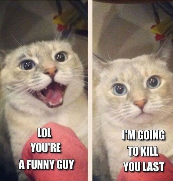 Acid Picdump (144 pics)