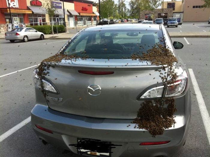 Acid Picdump (144 pics)