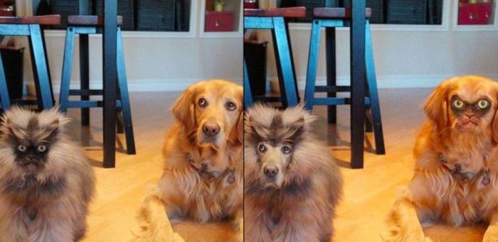Acid Picdump (144 pics)