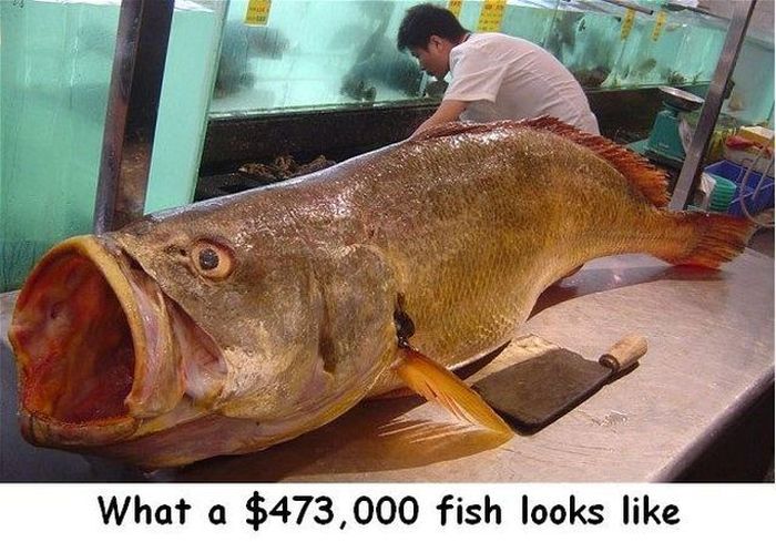 Acid Picdump (144 pics)
