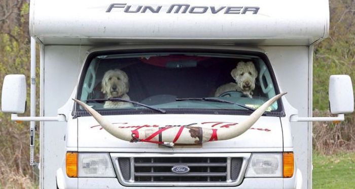 Acid Picdump (144 pics)