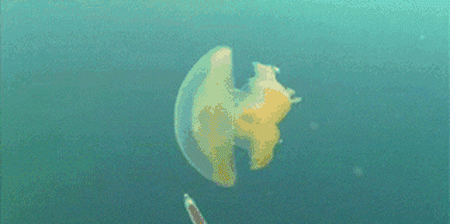 These Scientists Are Having Way Too Much Fun (37 pics) These Scientists Are Having Way Too Much Fun (37 pics)