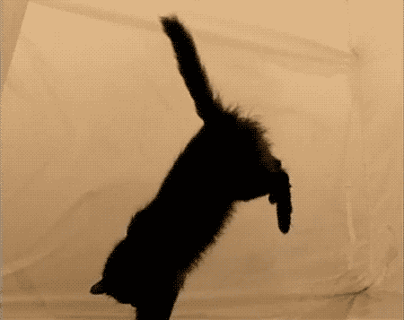 These Scientists Are Having Way Too Much Fun (37 pics)
