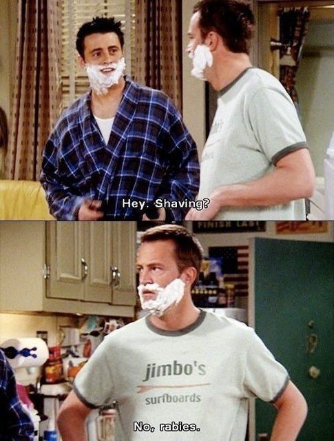 Best One Liners Of Chandler From Friends (33 pics)