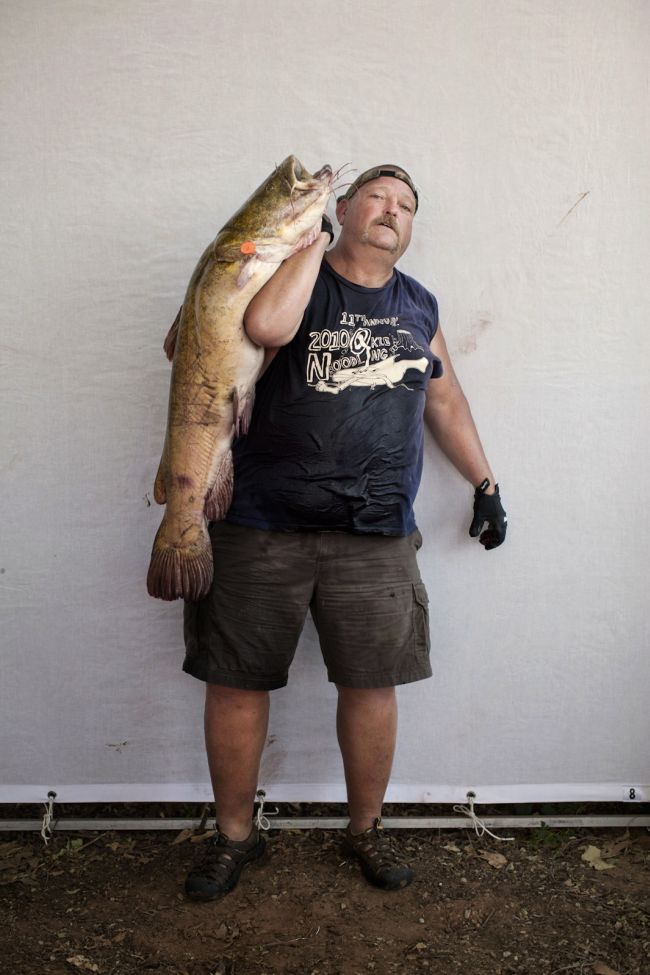 Would You Noodle These Giant Catfish? (32 pics)