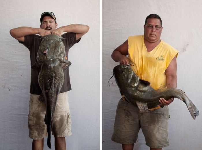 Would You Noodle These Giant Catfish? (32 pics)