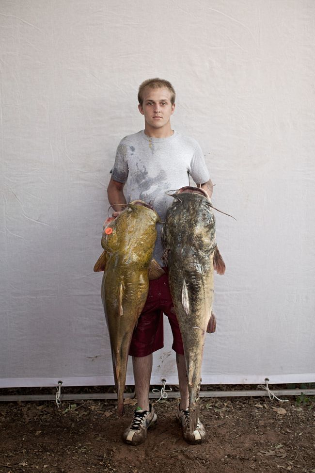 Would You Noodle These Giant Catfish? (32 pics)