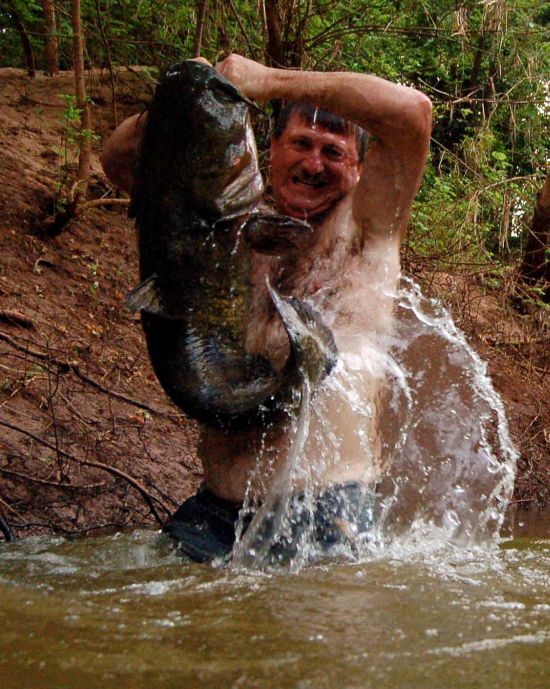 Would You Noodle These Giant Catfish? (32 pics)