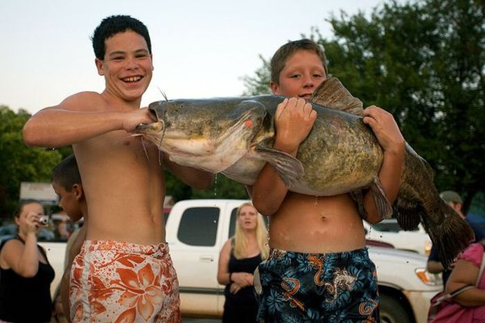 Would You Noodle These Giant Catfish? (32 pics)