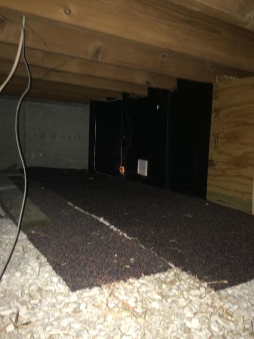 Creepy Treasure Found In The Crawl Space (13 pics)