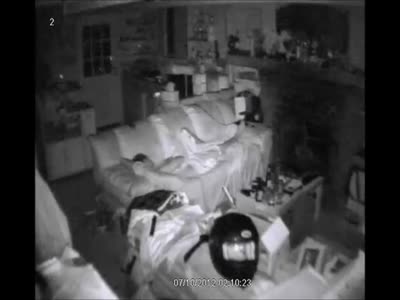 Bear Breaks Into The House at Night