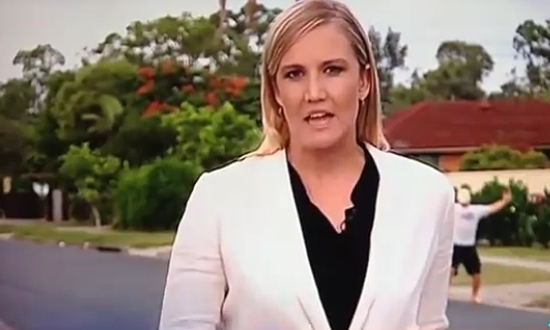 Best TV Reporters Trolling Compilation