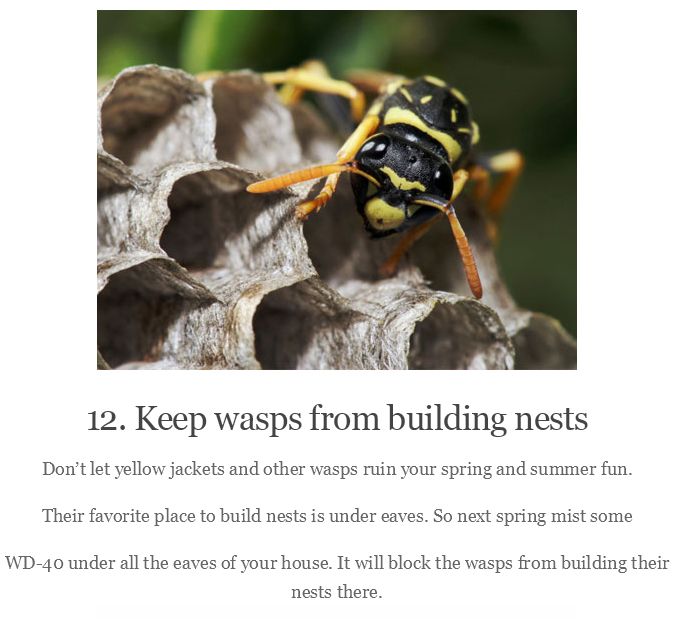 13 Great Things You Can Do With WD-40 (13 pics)