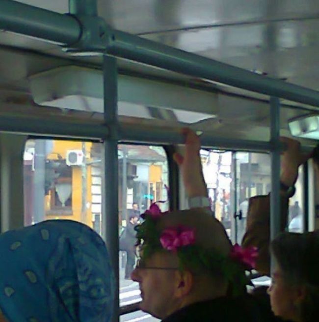 Things You Will Only See While Commuting In Serbia (58 pics)