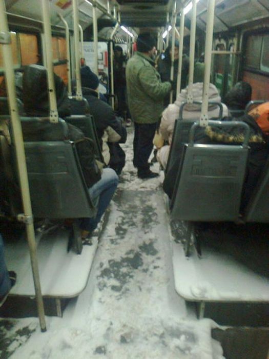 Things You Will Only See While Commuting In Serbia (58 pics)