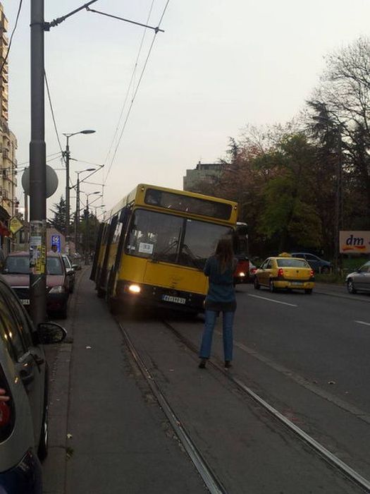 Things You Will Only See While Commuting In Serbia (58 pics)