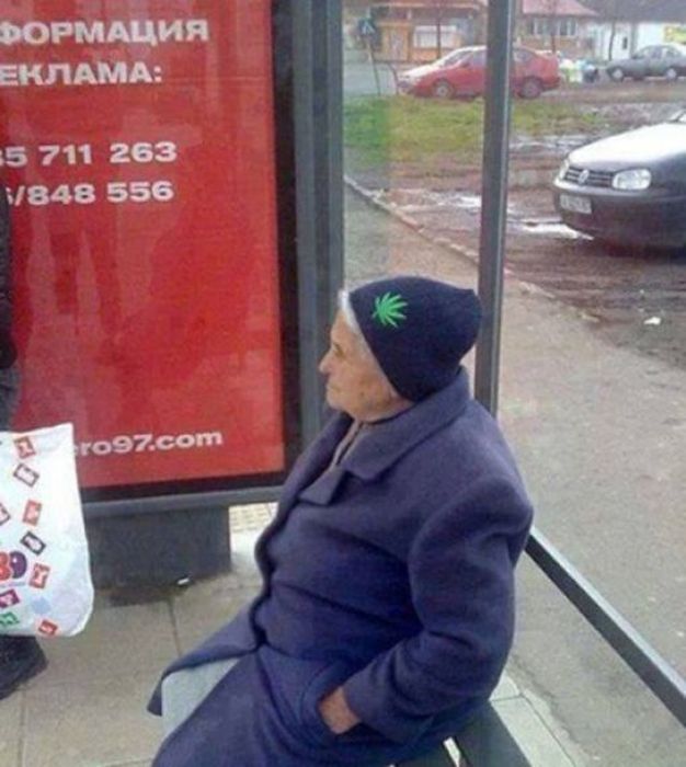 Things You Will Only See While Commuting In Serbia (58 pics)
