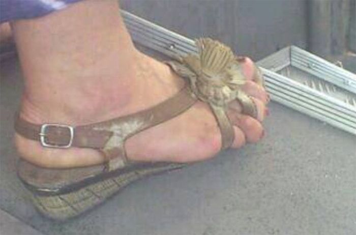 Things You Will Only See While Commuting In Serbia (58 pics)
