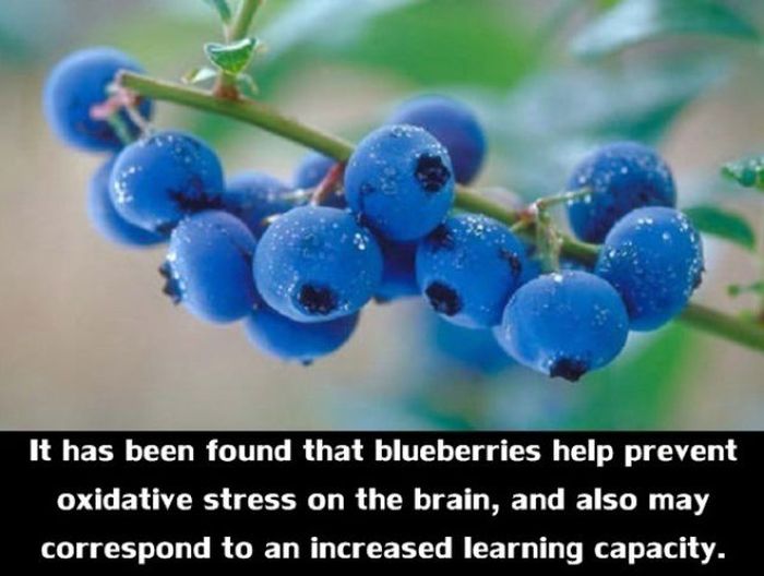 25 Tips That Will Make You A Lot Healthier (25 pics)