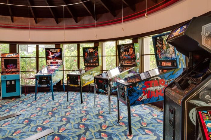 This House Has A Star Trek And A Call Of Duty Room (23 pics)