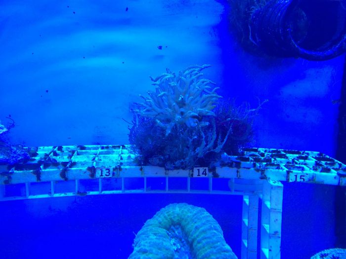 The Grossest Things You'll See At Petco (8 pics)
