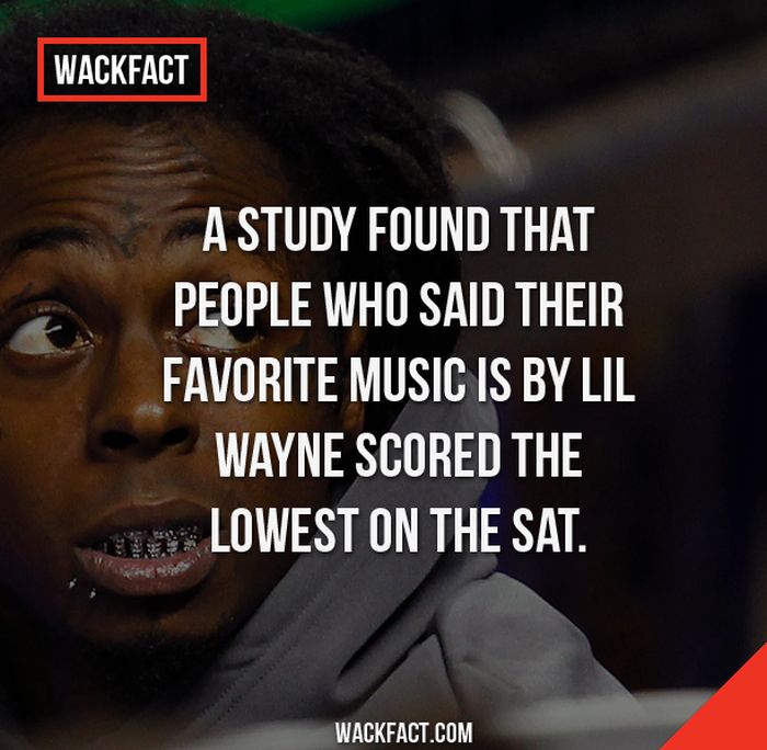 Wack Facts That Might Blow Your Mind (13 pics)