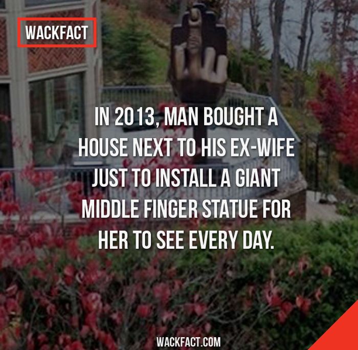 Wack Facts That Might Blow Your Mind (13 pics)