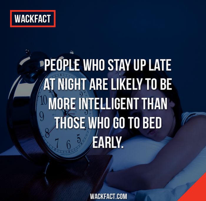 Wack Facts That Might Blow Your Mind (13 pics)