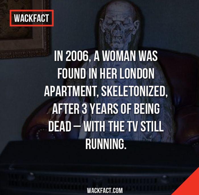 Wack Facts That Might Blow Your Mind (13 pics)